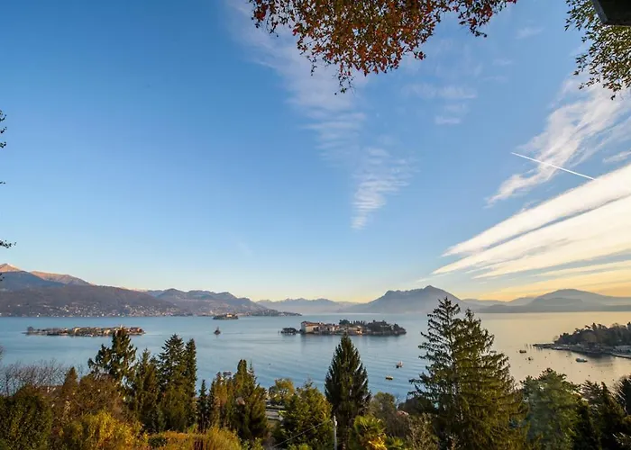 Sana Luxury * 스트레사